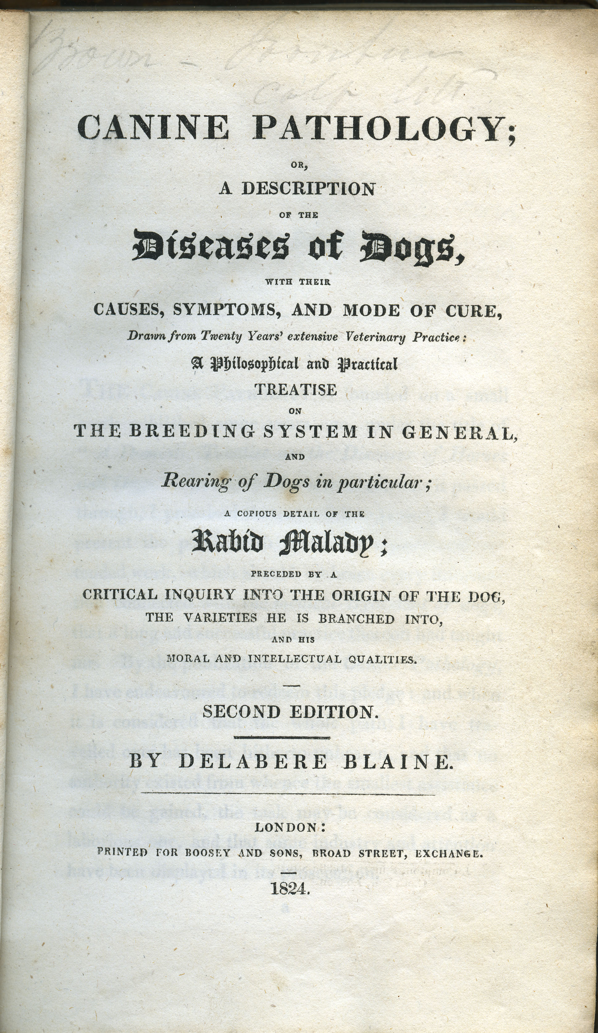 Blaine's Canine Pathology