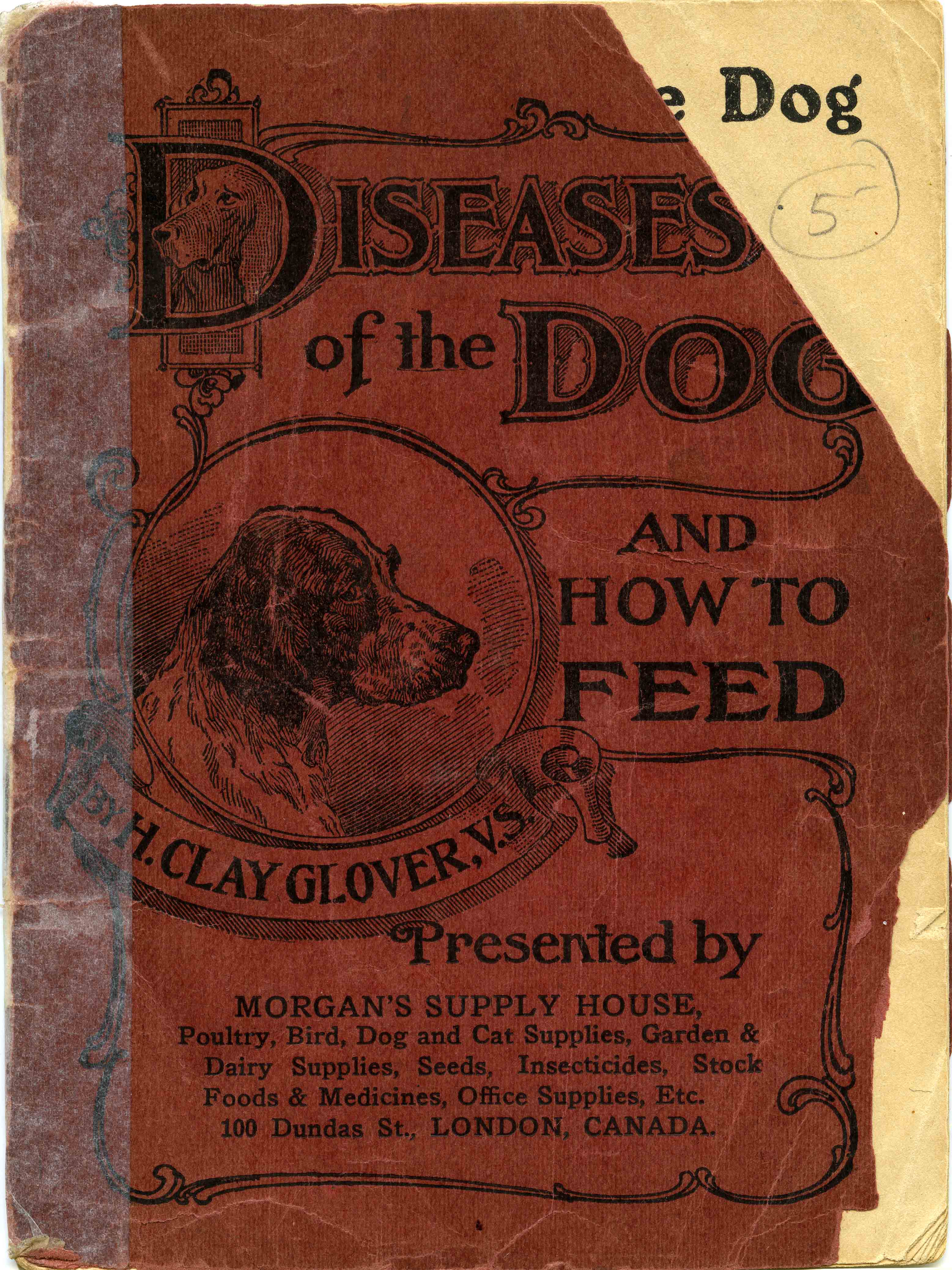 Dr. H. Clay Glover's Diseases of the Dog