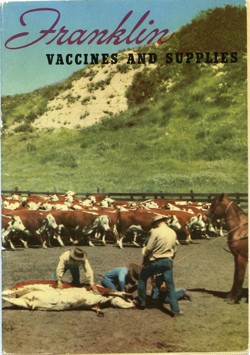 Franklin Vaccines and Supplies