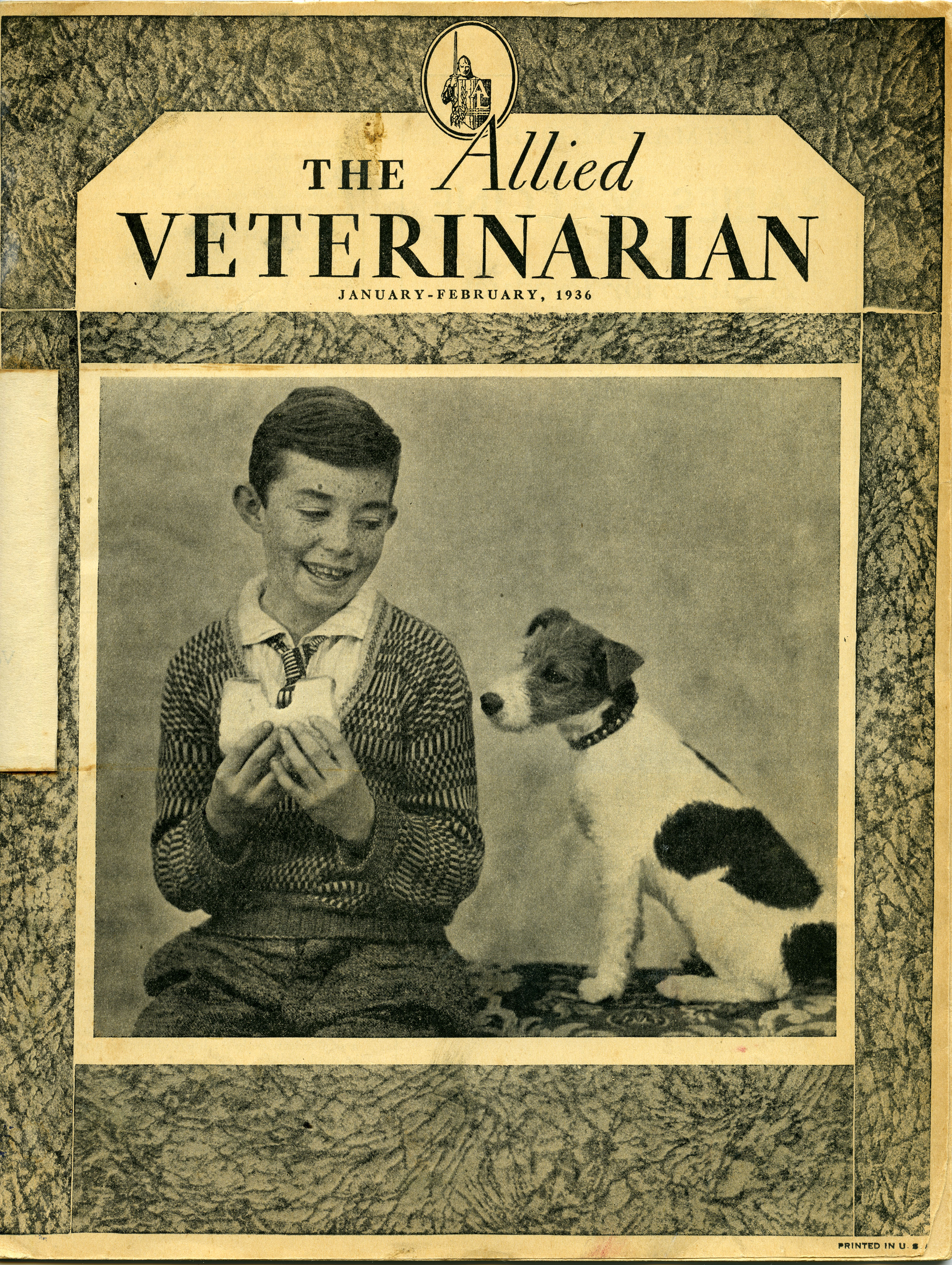 Allied Veterinarian journal