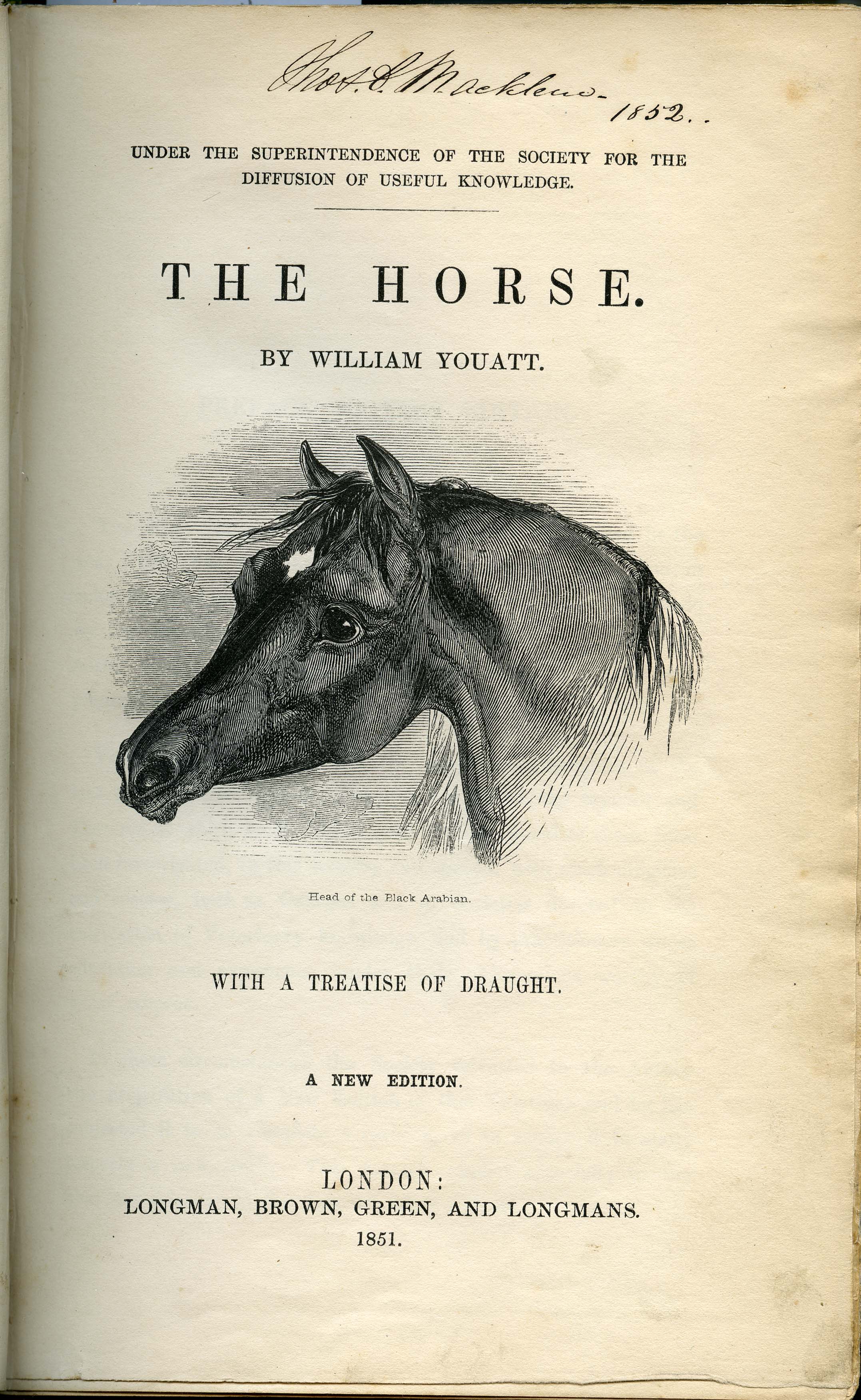 Youatt's The Horse