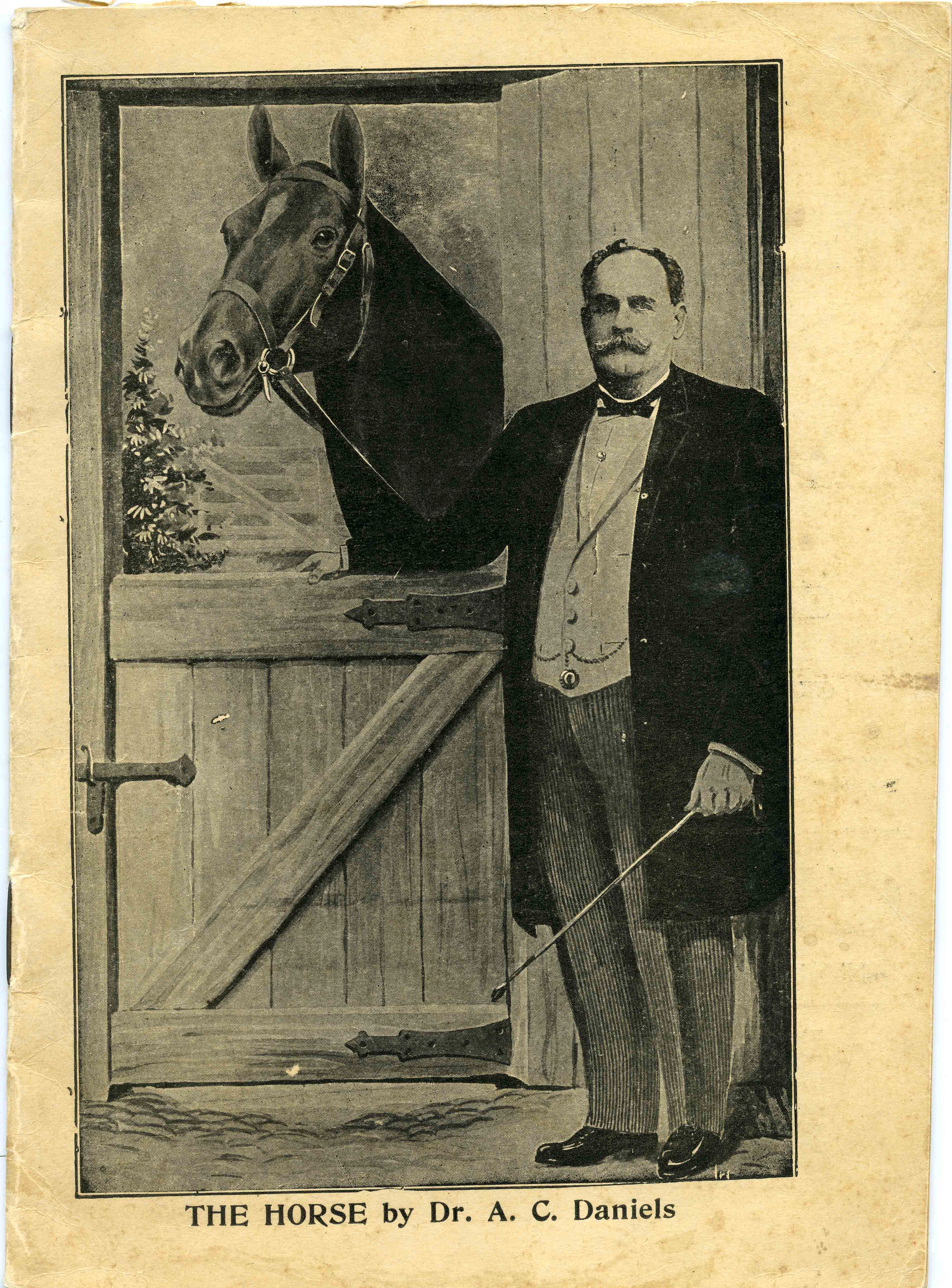 Dr. A.C. Daniels The Horse