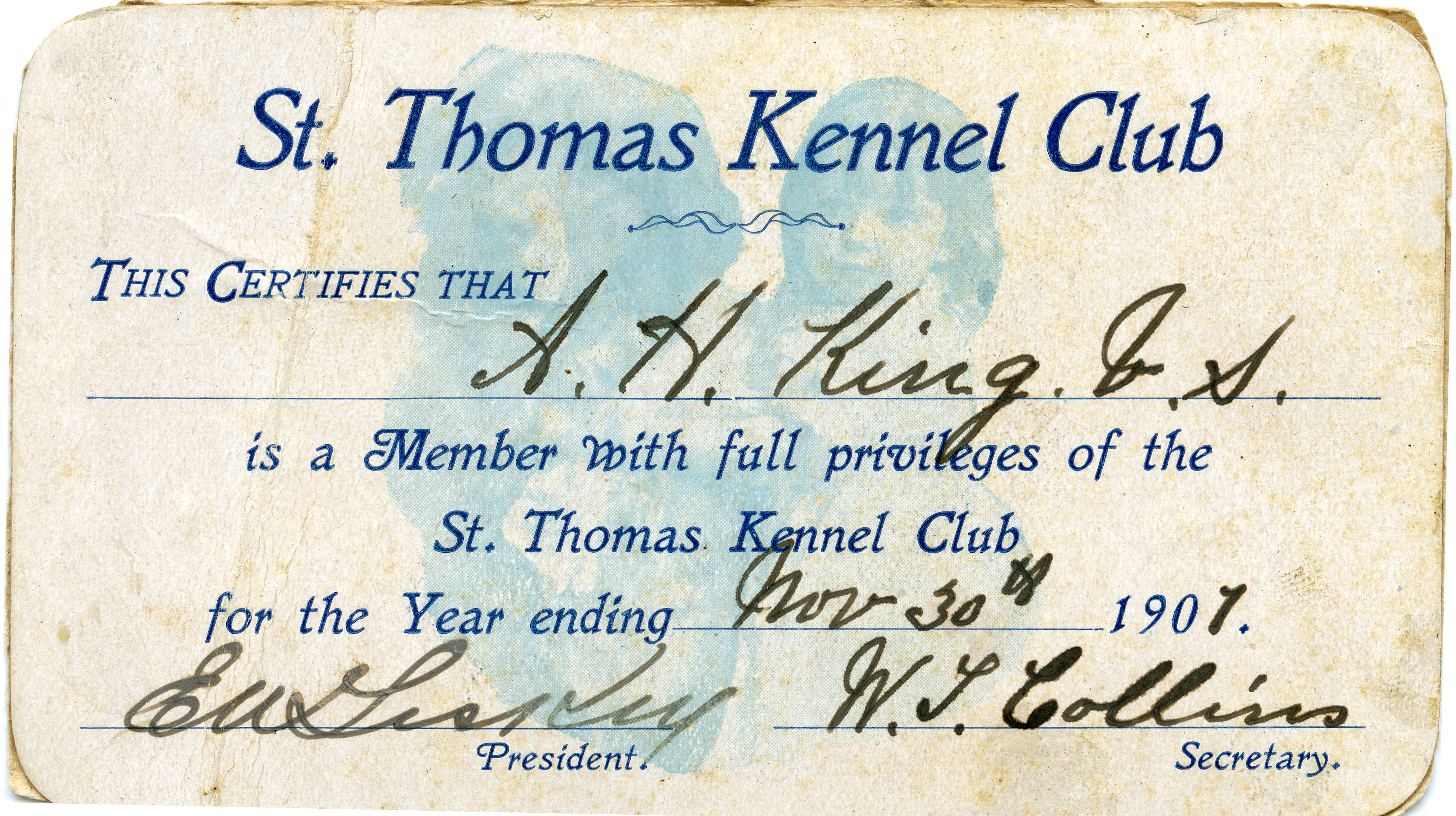 A.H. King V.S. Business Card